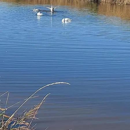 Haus Am Wasser Stadland