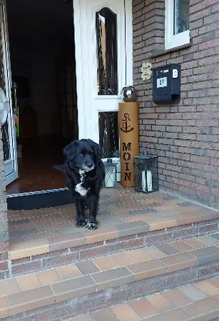 Haus Am Wasser Appartement *