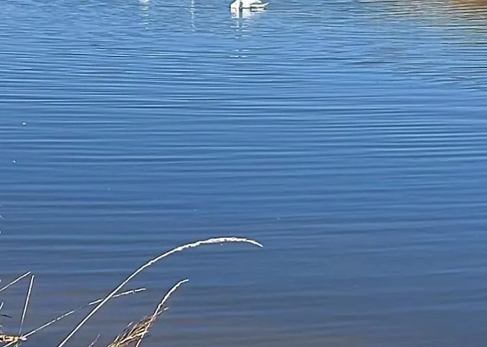 Haus Am Wasser Stadland
