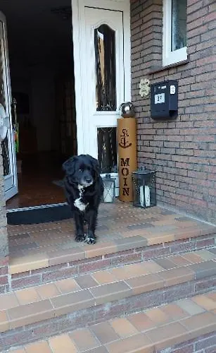 Haus Am Wasser Lejlighed *