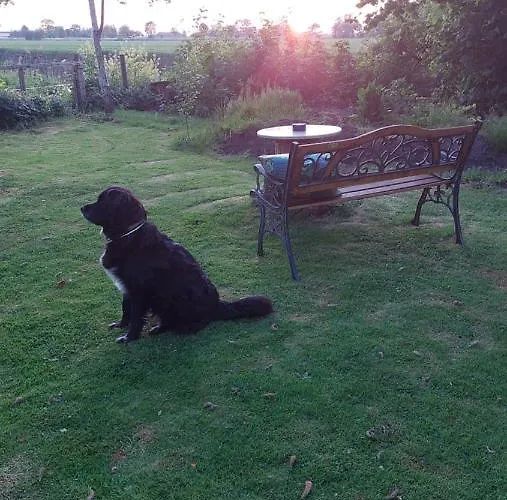 Haus Am Wasser Lejlighed